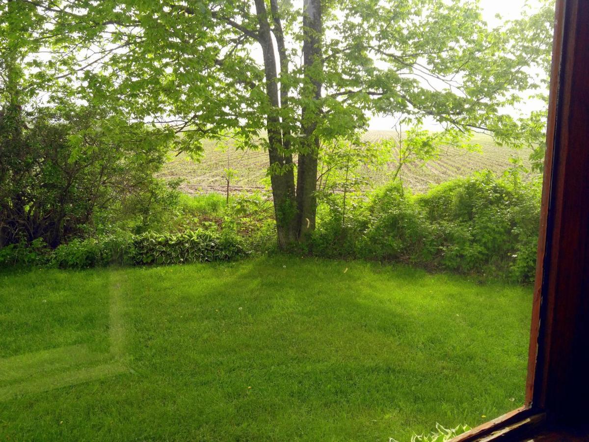The Usonian Inn Llc Spring Green Eksteriør billede