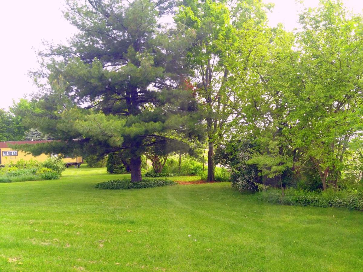The Usonian Inn Llc Spring Green Eksteriør billede